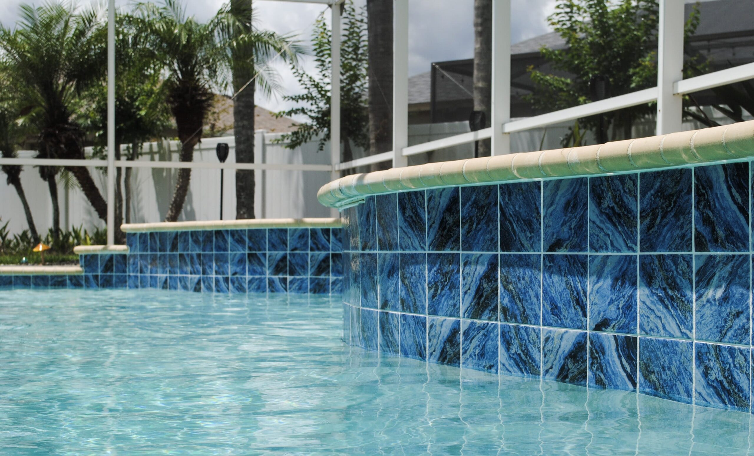 Waterline Pool Tiles Remodeling Tampa