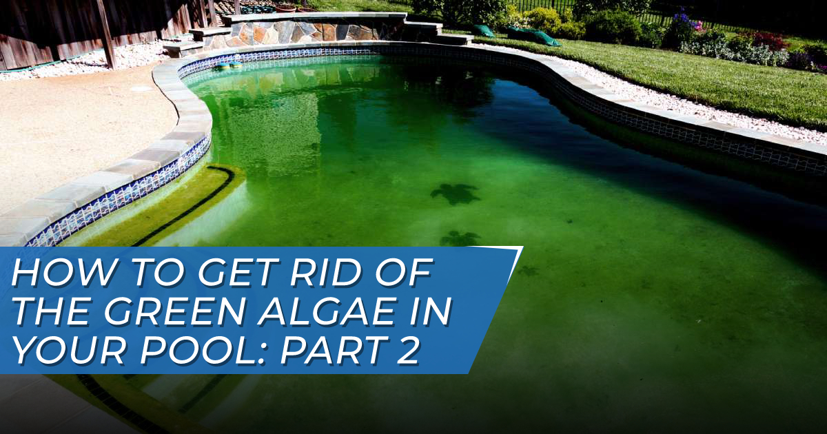 how to get rid of green algae on pool walls