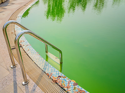 Green Pool Algae Cleaning Tips