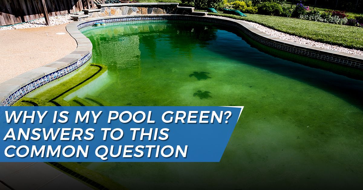 Green Pool Water | Why Is My Pool Green?