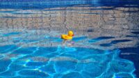 rubber ducky in a swimming pool; how often should you shock your pool