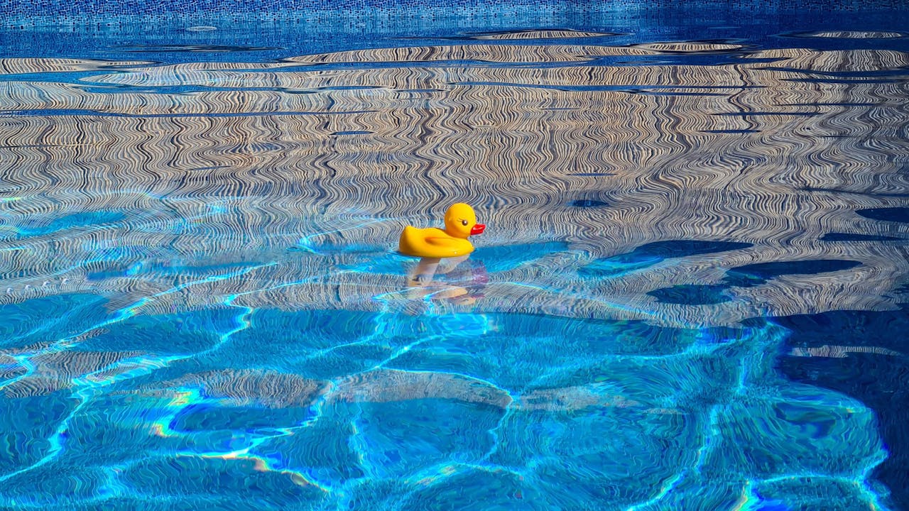 rubber ducky in a swimming pool; how often should you shock your pool